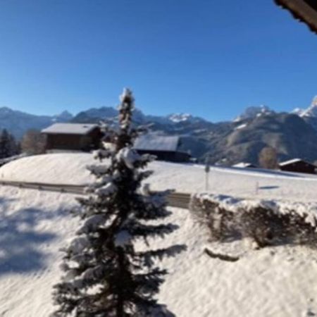 Chalet Soldanella 10 Guests Gstaad Zewnętrze zdjęcie