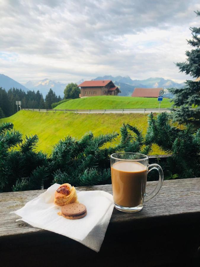 Chalet Soldanella 10 Guests Gstaad Zewnętrze zdjęcie